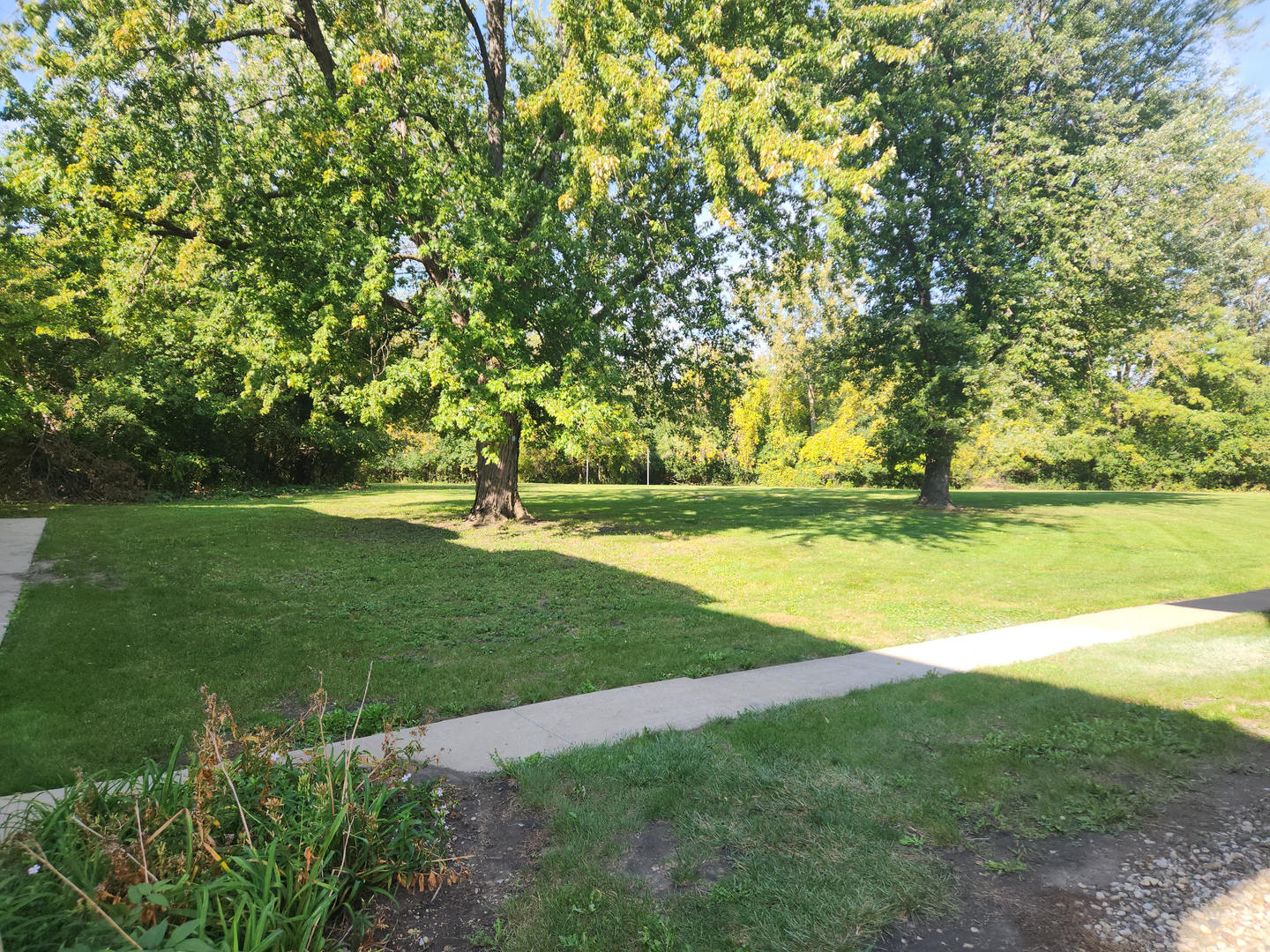 14969 South Willowcrest Drive, Unit 17 Midlothian, IL 60445 - Photo 3 of 12 a view of yard with swimming pool and green space