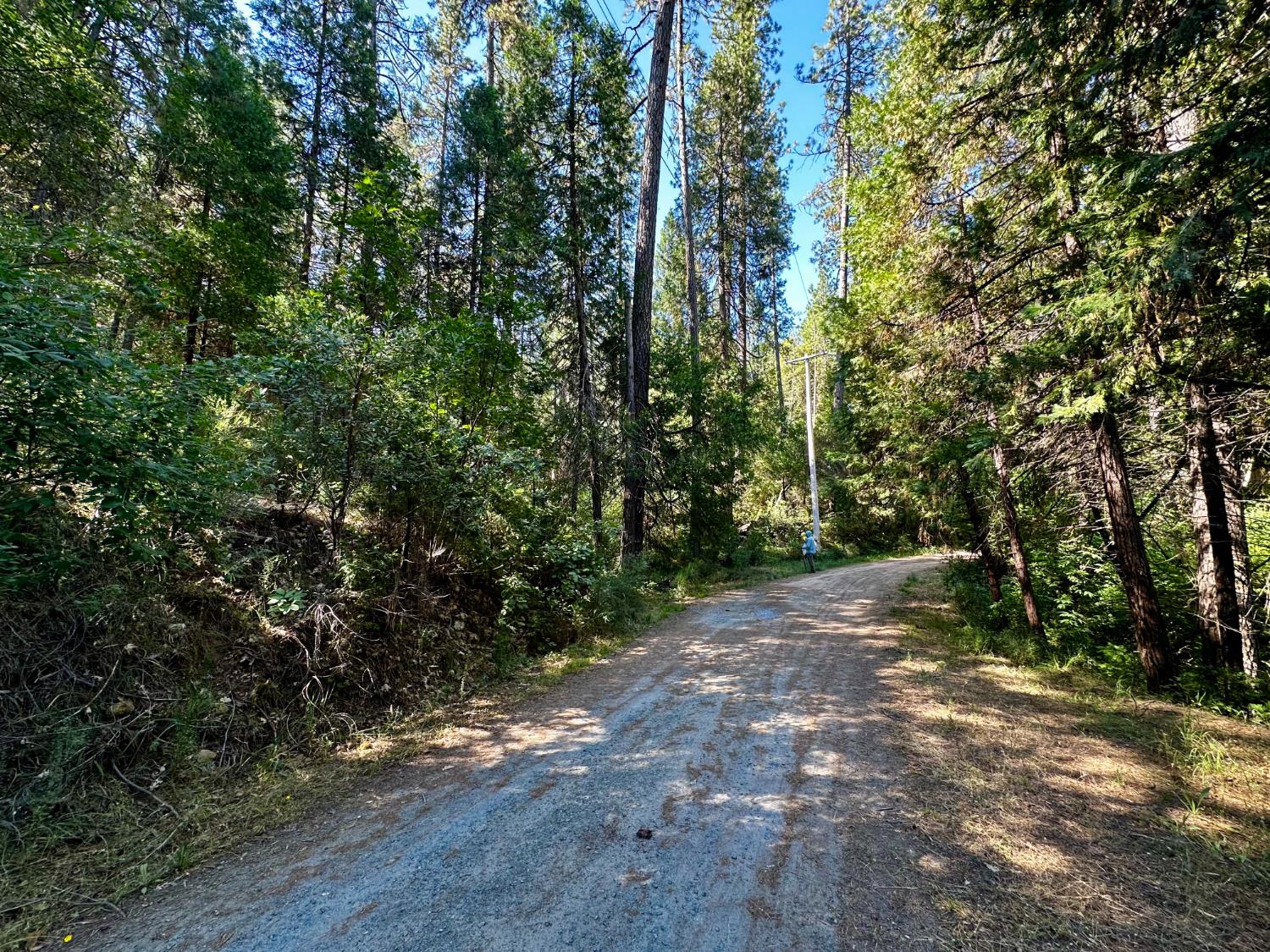 0 Dean Road Mount Aukum, CA 95656 - Photo 3 of 5