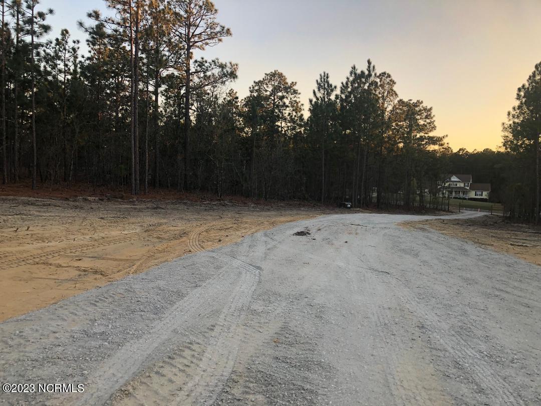 9 Ledbetter Road Rockingham, NC 28379 - Photo 3 of 9 Ledbetter Land Pic- Driveway