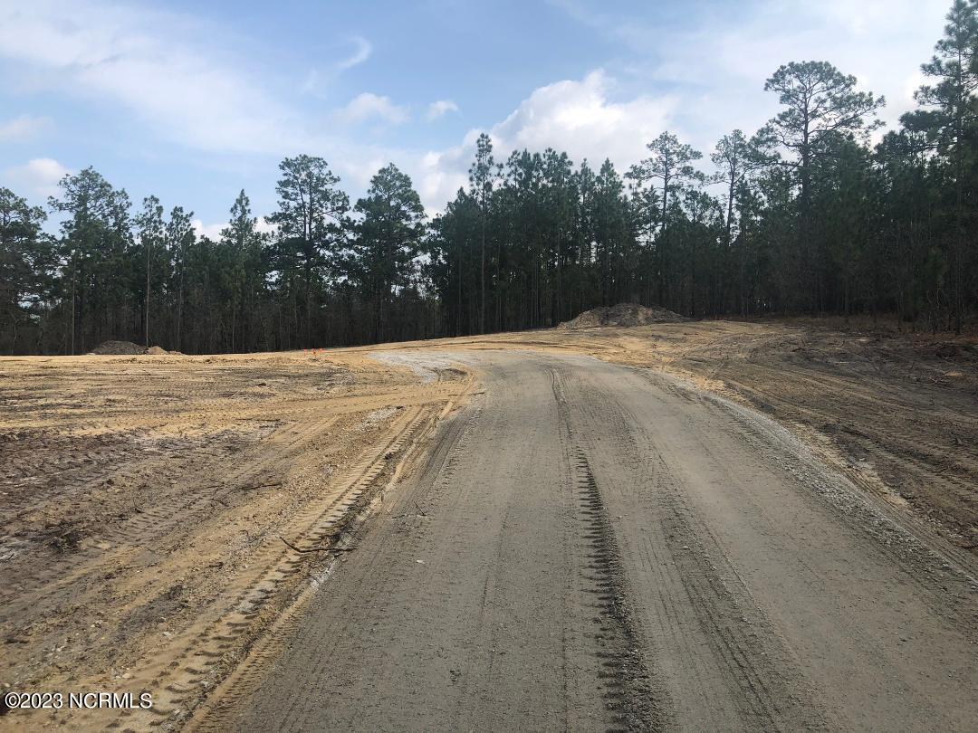 9 Ledbetter Road Rockingham, NC 28379 - Photo 4 of 9 Ledbetter Land Pic- Driveway pt 2