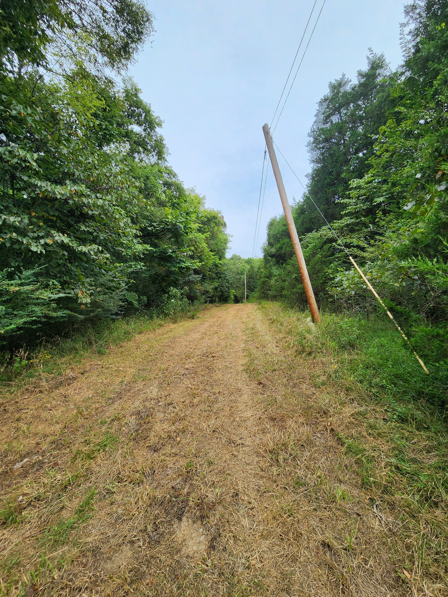 2754 Scribners Mill Road Culleoka, TN 38451 - Photo 2 of 6 Gallery Image 2