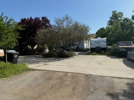 a plant that is in front of a house