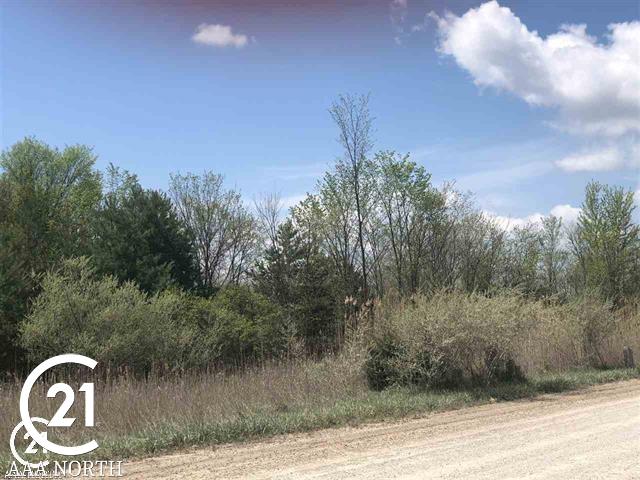 27 27 Mile Road New Haven, MI 48048 - Photo 3 of 3