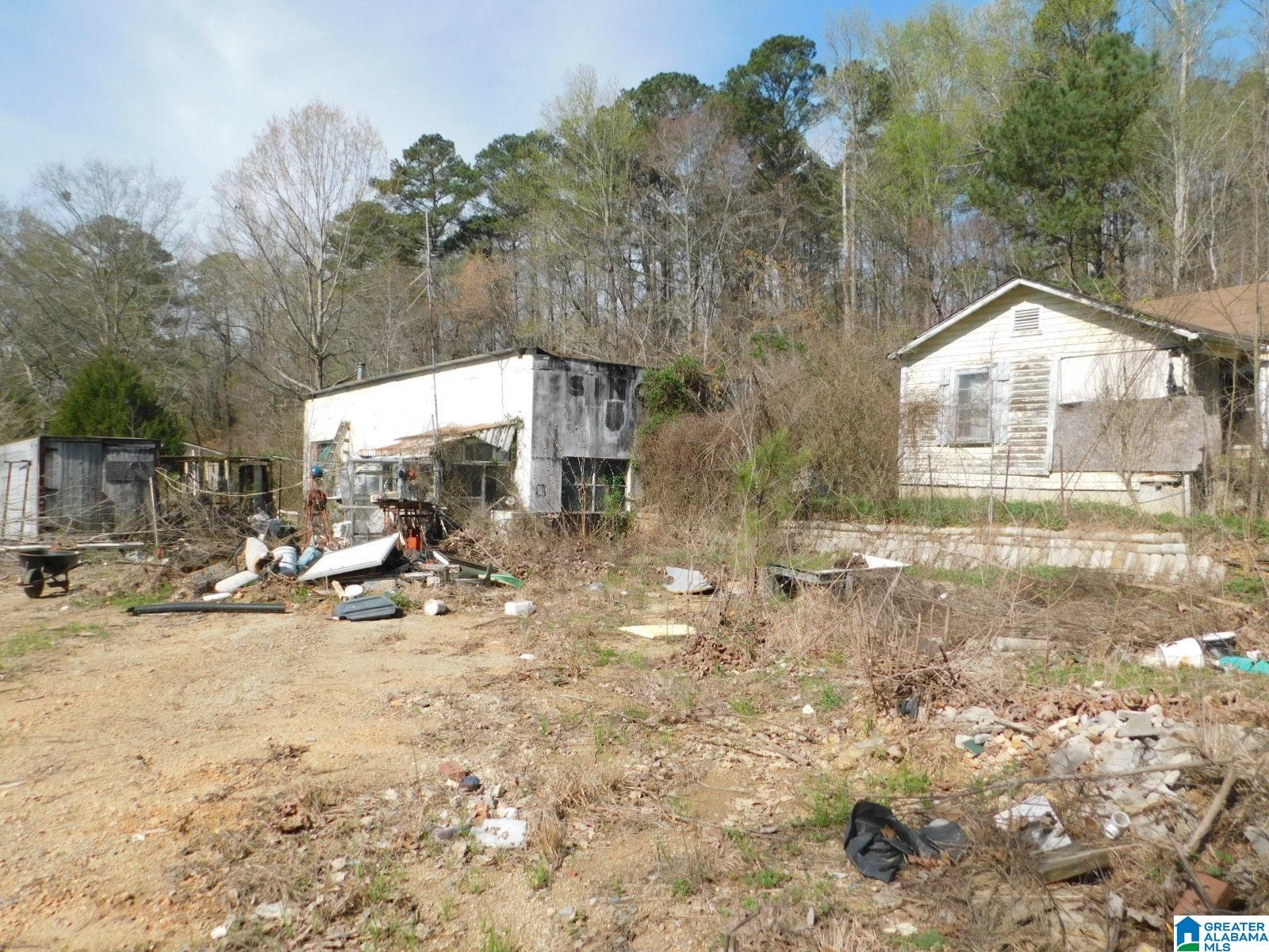 18009 Highway 11 Steele, AL 35987 - Photo 4 of 8