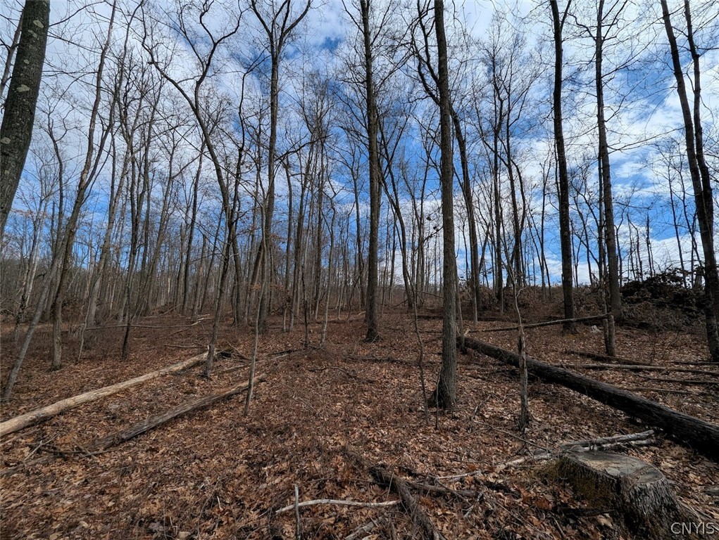 Welty Road Lindley, NY 14858 - Photo 36 of 45