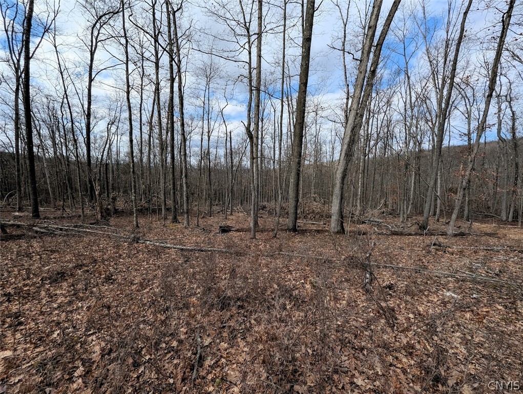 Welty Road Lindley, NY 14858 - Photo 38 of 45