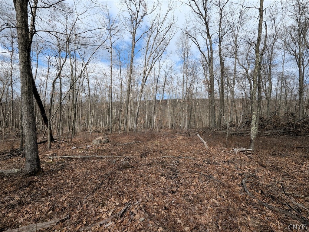 Welty Road Lindley, NY 14858 - Photo 39 of 45