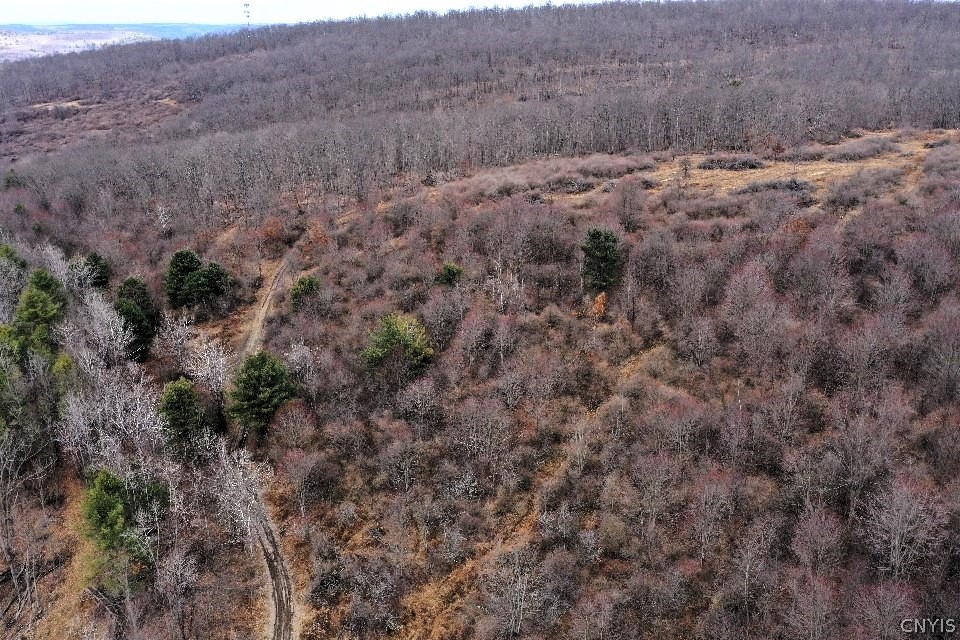 Welty Road Lindley, NY 14858 - Photo 5 of 45