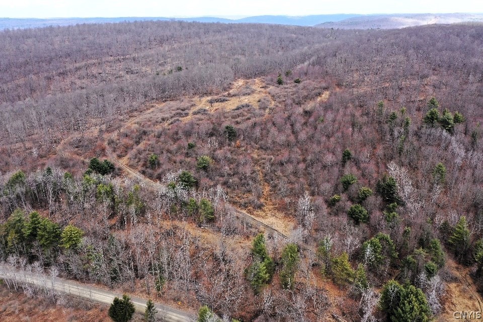 Welty Road Lindley, NY 14858 - Photo 6 of 45