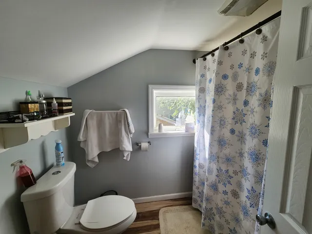 a bathroom with a toilet and a shower curtain
