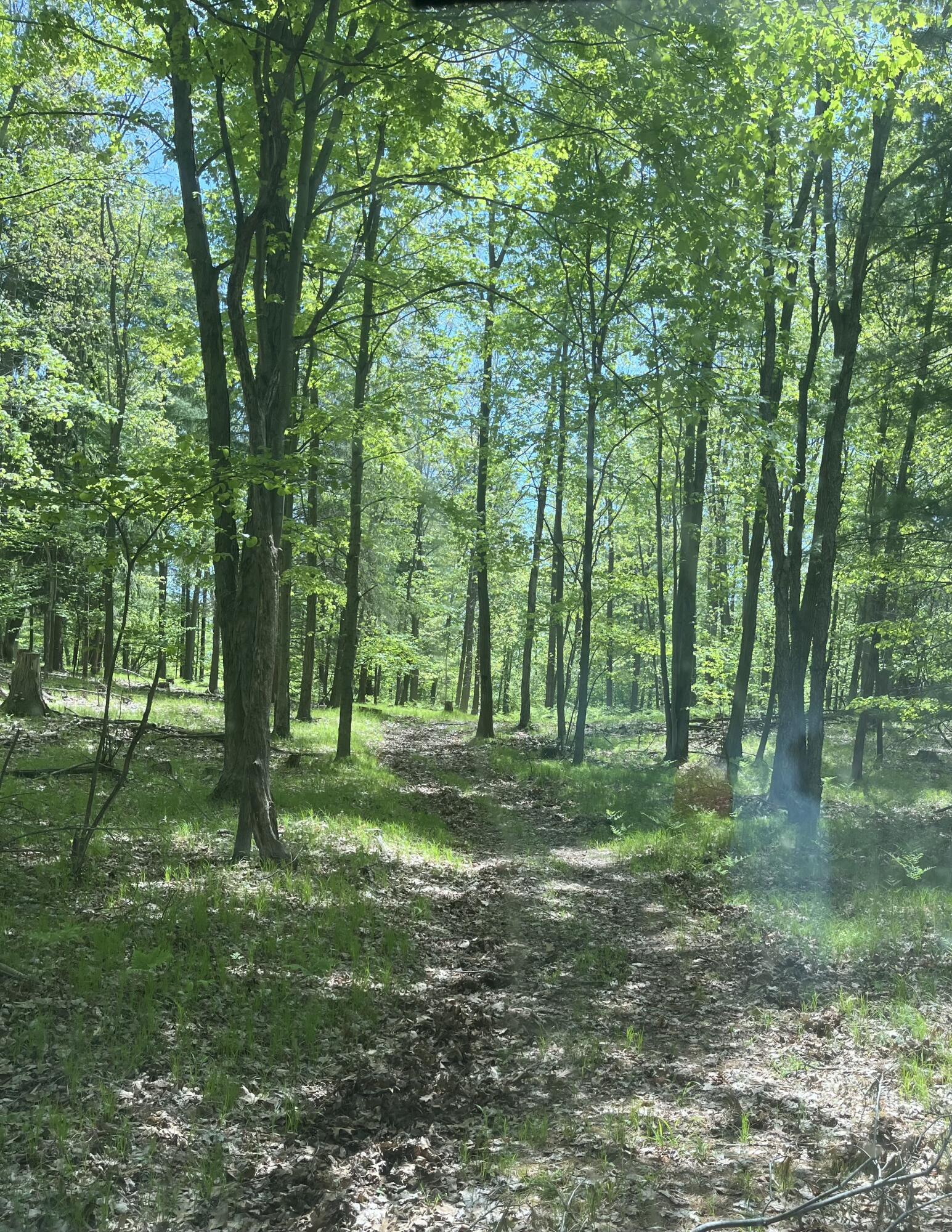 3685 Cypress Road Blanchard, MI 49310 - Photo 5 of 7 IMG_9461
