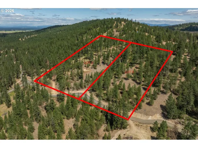 a view of a park with large trees