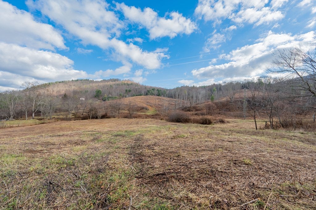 451 Summerfield Road Independence, VA 24348 - Photo 63 of 100 Gallery Image 63