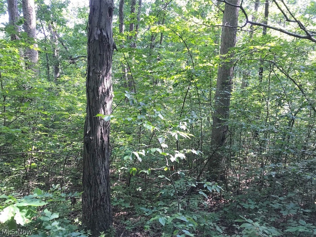 West Boyd Hall Road Piedmont, OH 43983 - Photo 27 of 35 Gallery Image 27