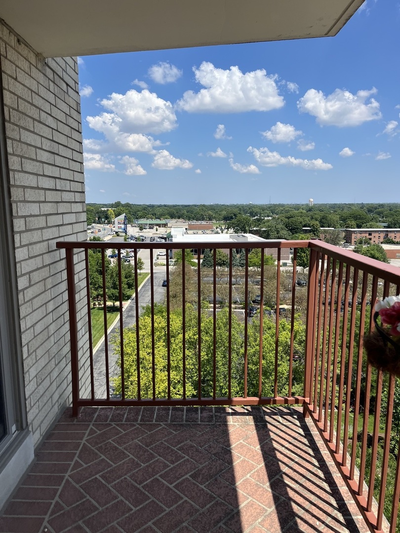 141 North La Grange Road, Unit 802 La Grange, IL 60525 - Photo 11 of 25