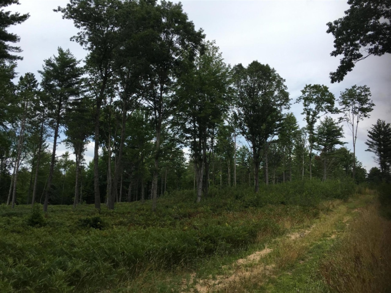 Peters Farm Road Wellston, MI 49689 - Photo 2 of 7