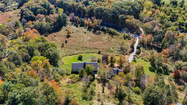 a view of a yard with plants