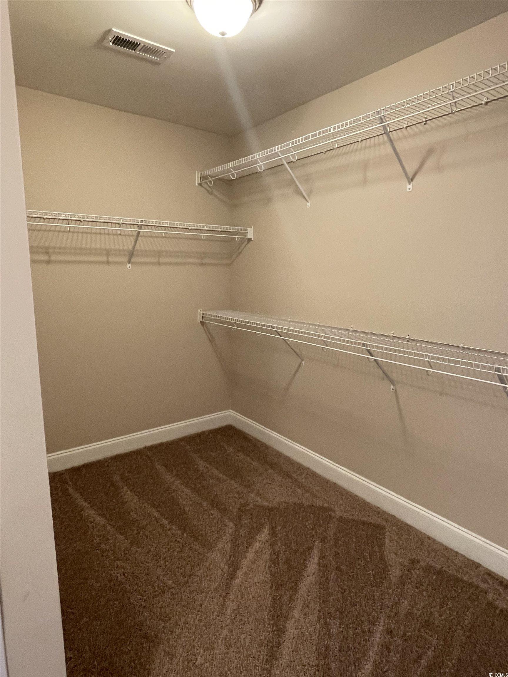 128 Cloey Road Myrtle Beach, SC 29579 - Photo 18 of 22 Spacious closet with dark carpet