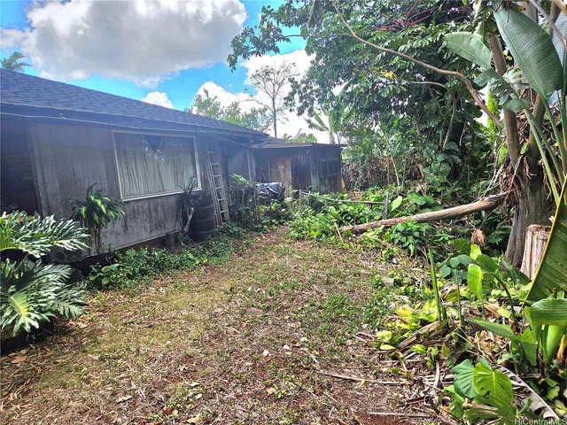 a view of a backyard with plants and a chair