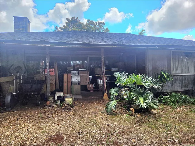 a potted plant sitting in front of a house