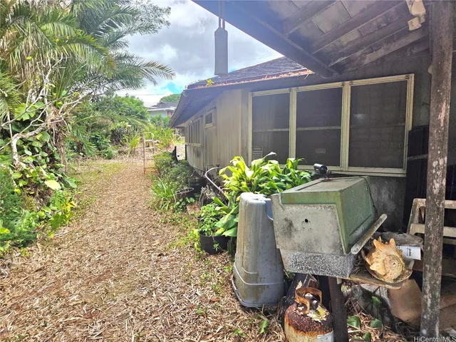 a view of a forest with an ocean