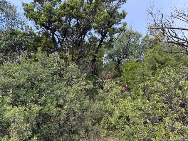 $159,000 | 19011 Snuggle Cliff, San Antonio, TX 78255