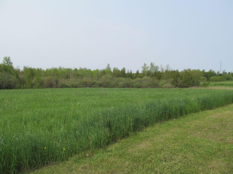 Lot #3 Hemlock Street McBain, MI 49657 - Photo 13 of 21 b14