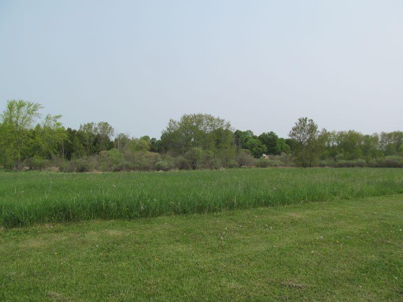 Lot #3 Hemlock Street McBain, MI 49657 - Photo 17 of 21 b18