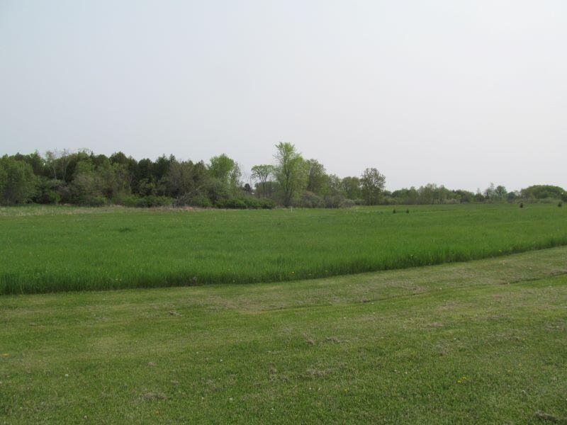 Lot #3 Hemlock Street McBain, MI 49657 - Photo 8 of 21 b9