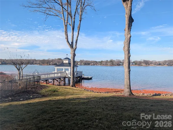a view of a lake with a large trees