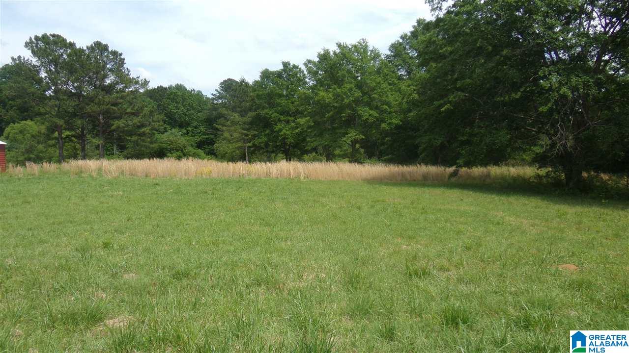 3029 Nixon Road Bessemer, AL 35022 - Photo 6 of 27