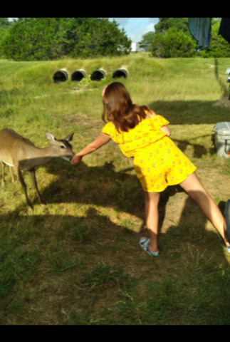 155 Pr 1513 Bandera, TX 78003 - Photo 8 of 10