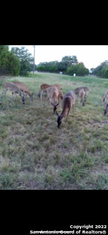 155 Pr 1513 Bandera, TX 78003 - Photo 9 of 10 a view of a lake with outdoor space