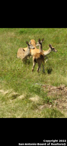 155 Pr 1513 Bandera, TX 78003 - Photo 10 of 10 a view of ocean from a back