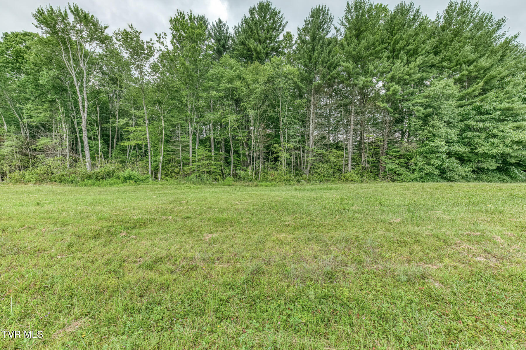 1678 Sluder Road Shady Valley, TN 37688 - Photo 99 of 110 1678 Sluder Rd-99