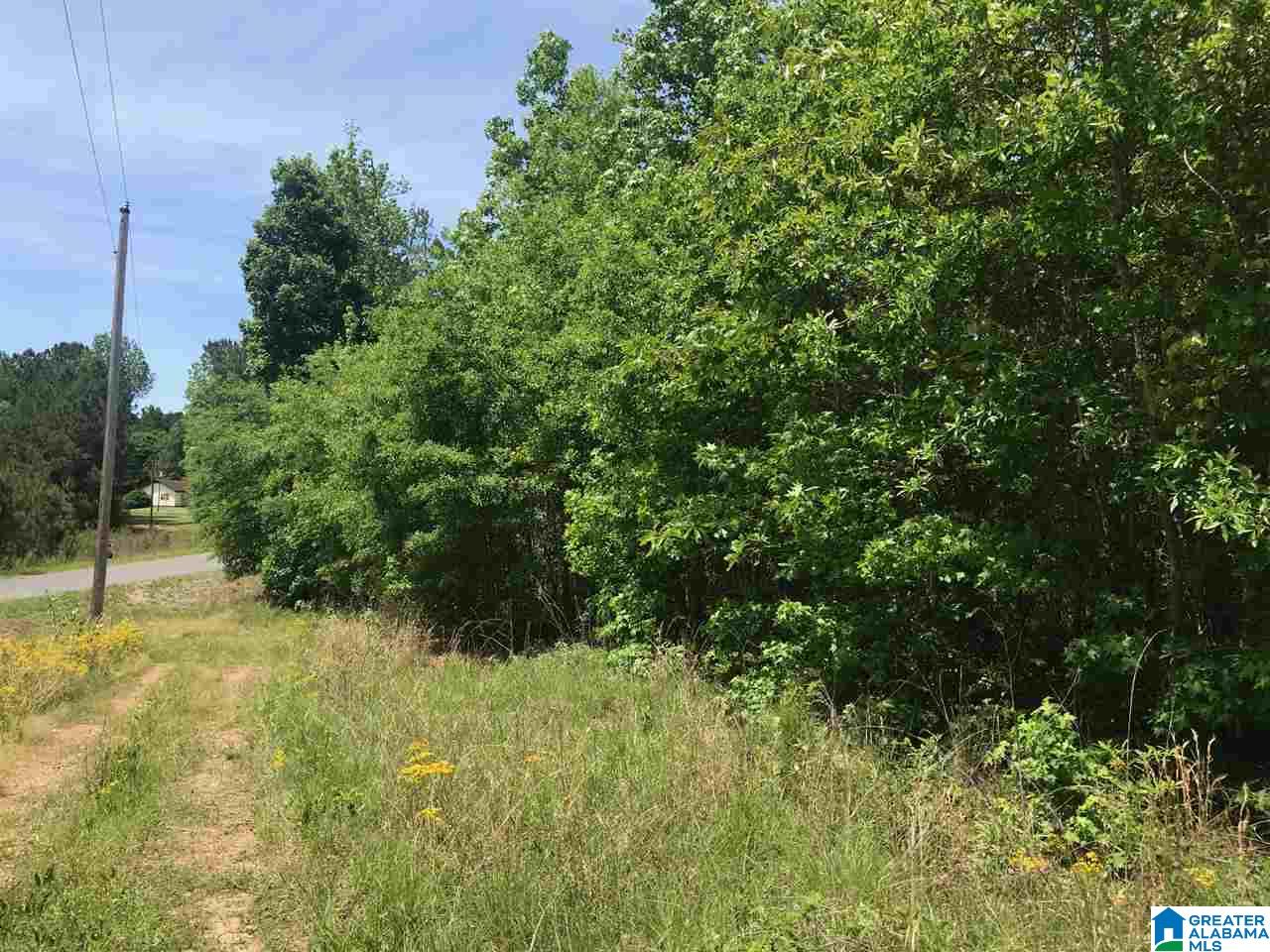 Firehouse Road, Unit 21 Goodwater, AL 35072 - Photo 16 of 21