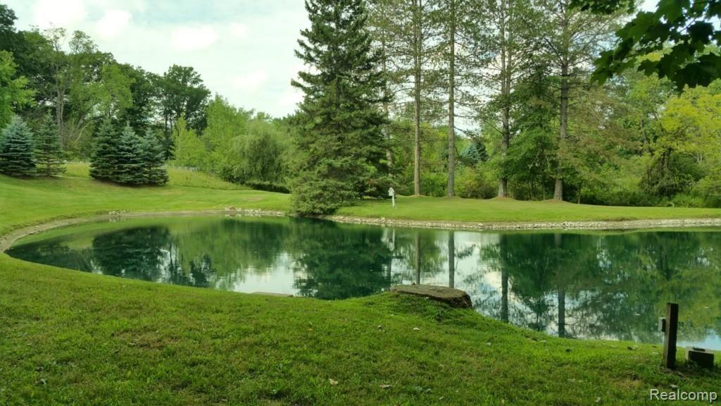 7633 West Gates Street Romeo, MI 48065 - Photo 34 of 40 pond 1.jpg