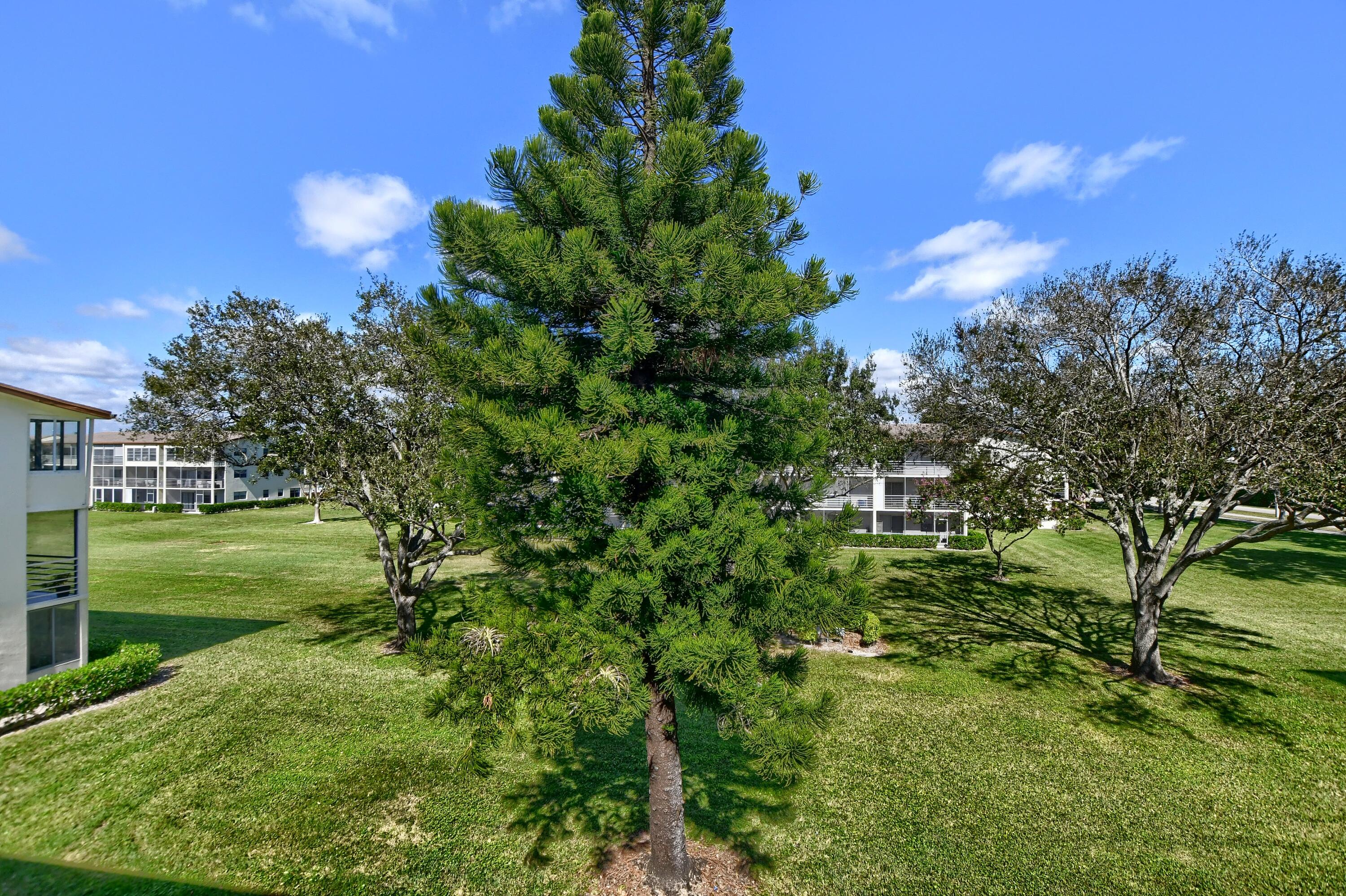 77 Mansfield B Boca Raton, FL 33434 - Photo 3 of 23 EBF_4125-HDR(5)