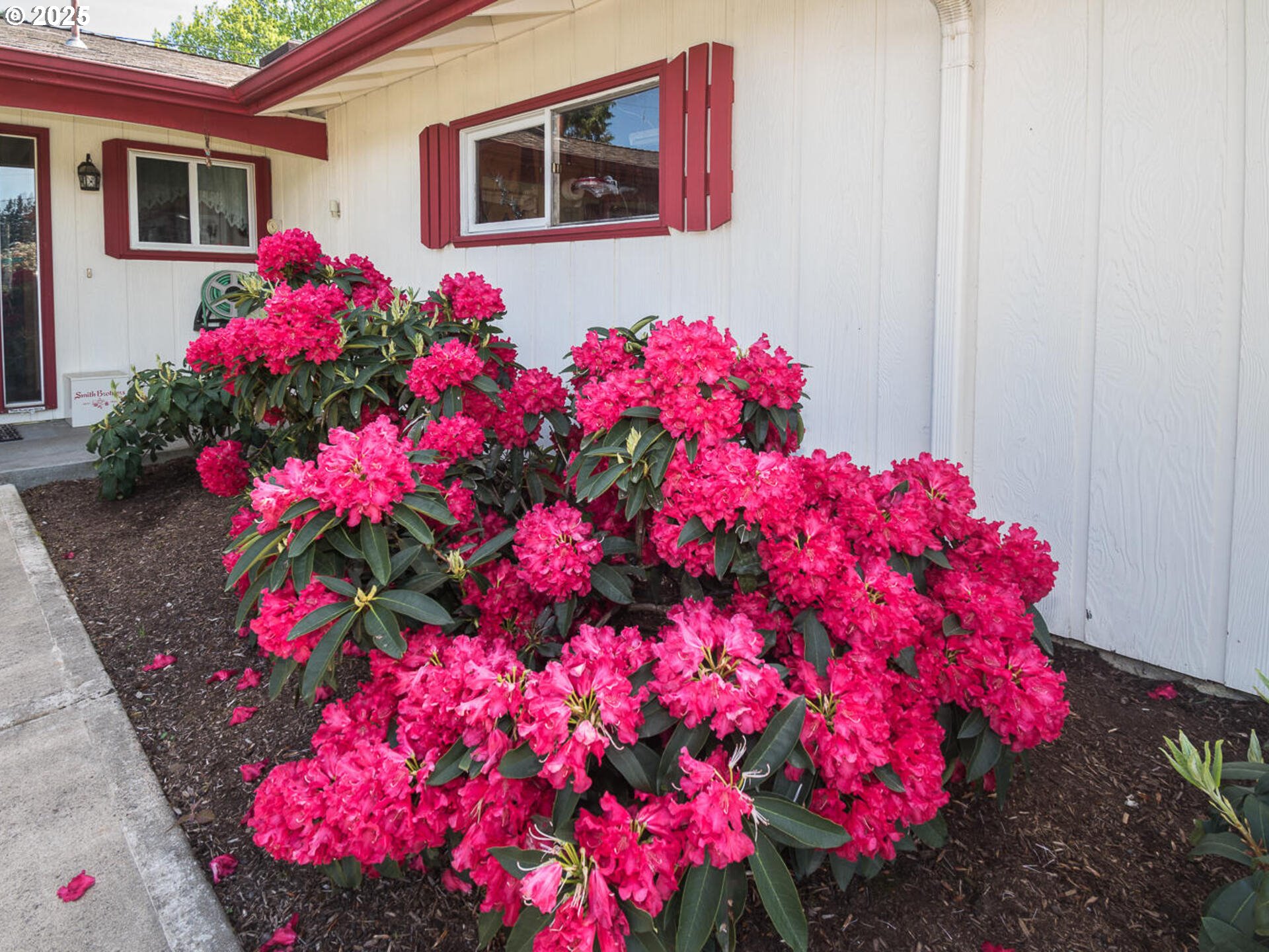 19838 Northeast Wasco Street Portland, OR 97230 - Photo 4 of 42 a view of a house with flower