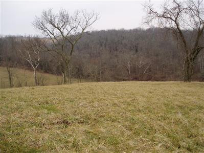 1065 Scrubgrass Creek Road Carlisle, KY 40311 - Photo 6 of 14 Photo 6