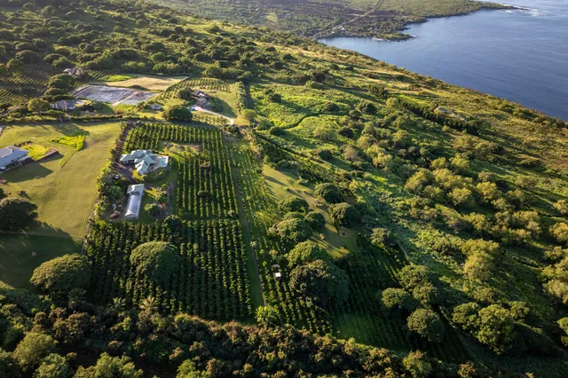 $2,950,000 | 81-853 Makahiki Lane, Captain Cook, HI 96704