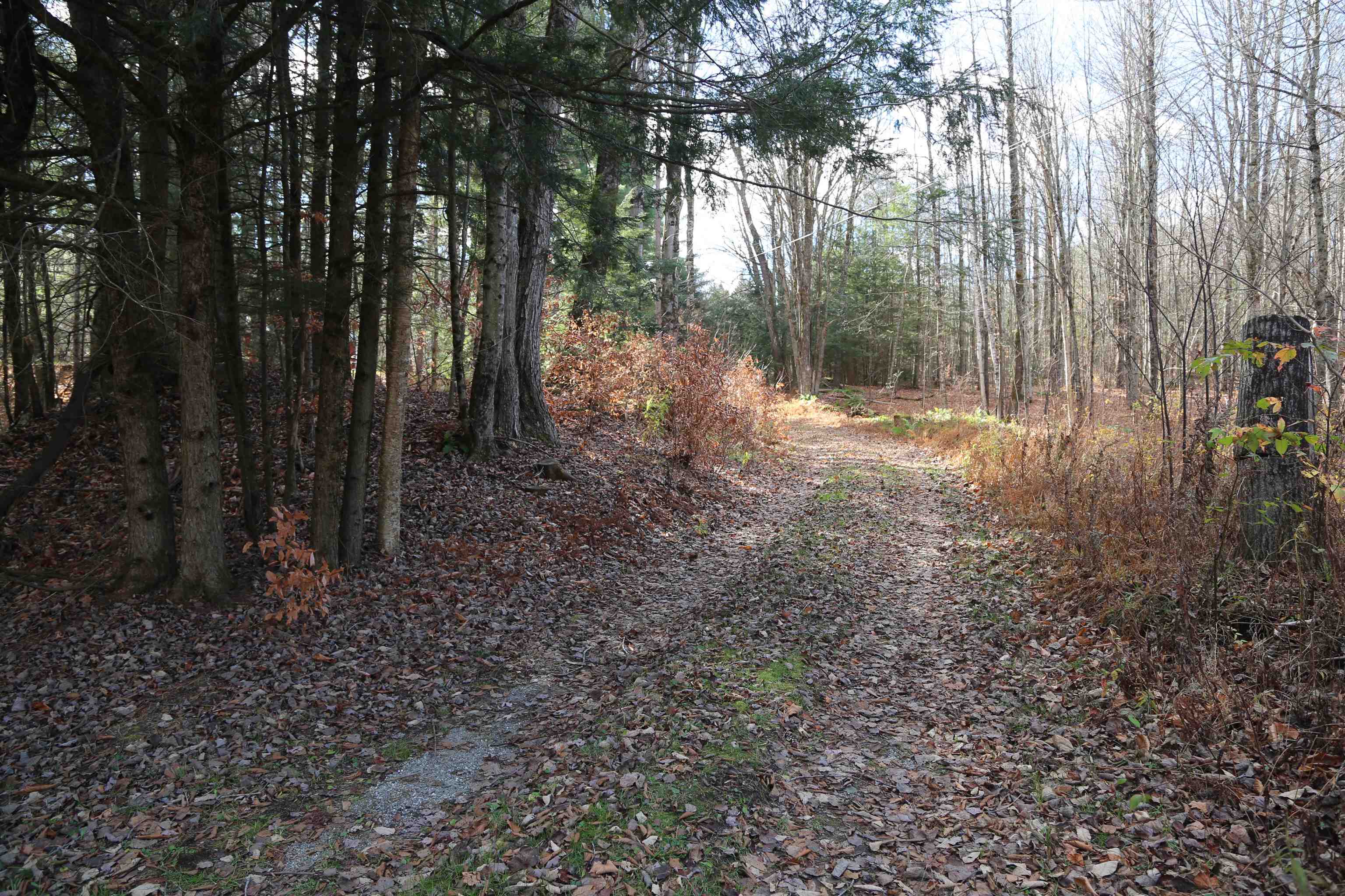1100 Stebbins Road Cambridge, VT 05464 - Photo 26 of 34 Gallery Image 26