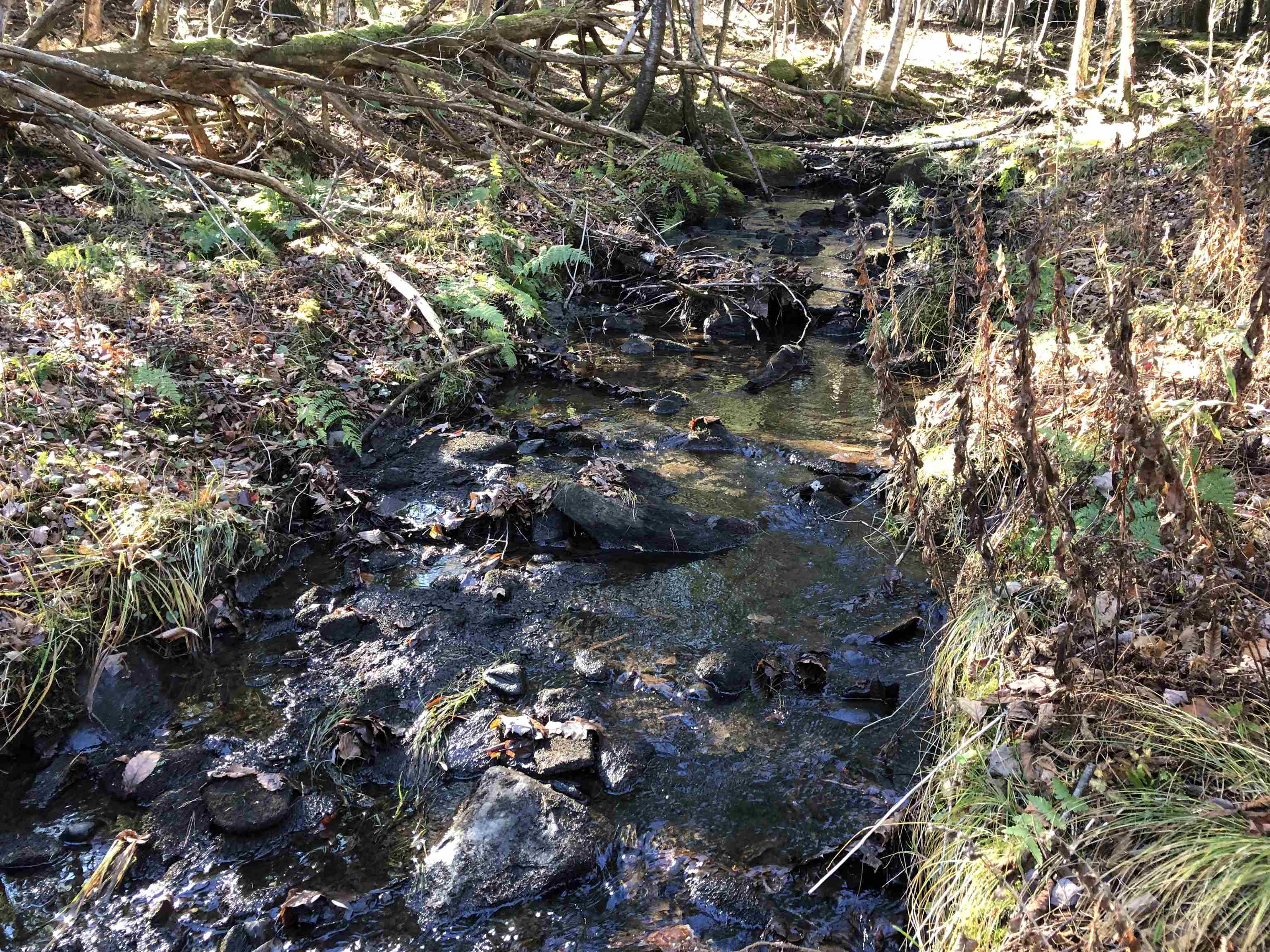 1100 Stebbins Road Cambridge, VT 05464 - Photo 28 of 34 Gallery Image 28