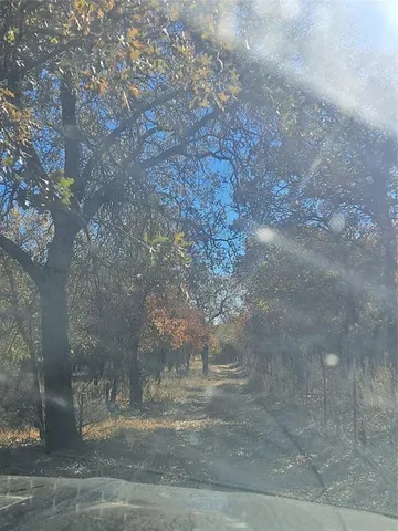 $189,000 | 20.987-acres Tbd Fm 20.987-acres Tbd Fm 3368th, Hawley, TX 79525