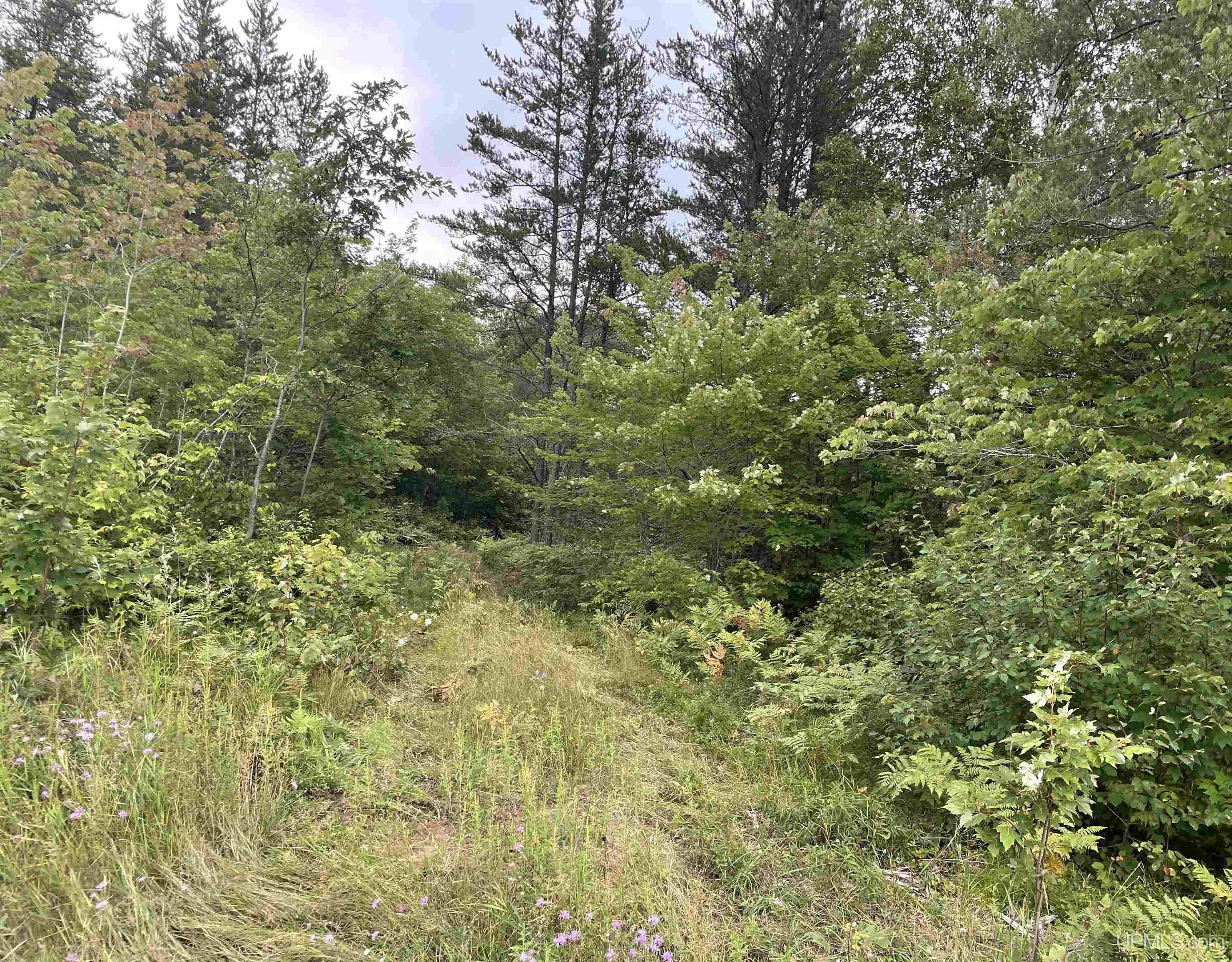 456 North Rd Little Lake Little Lake, MI 49833 - Photo 3 of 29