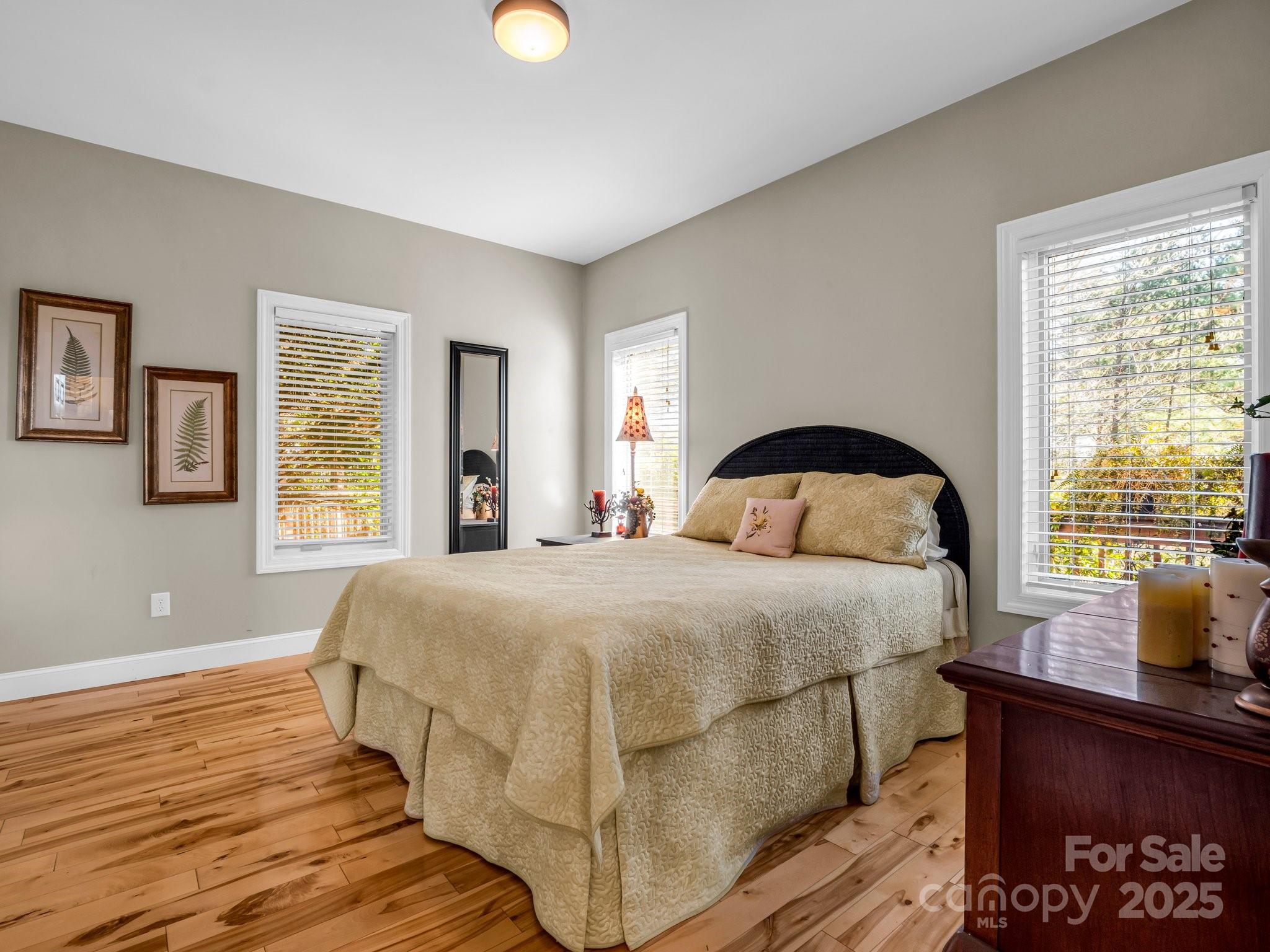 294 Ridgeway Road Lake Lure, NC 28746 - Photo 27 of 47 Gallery Image 27