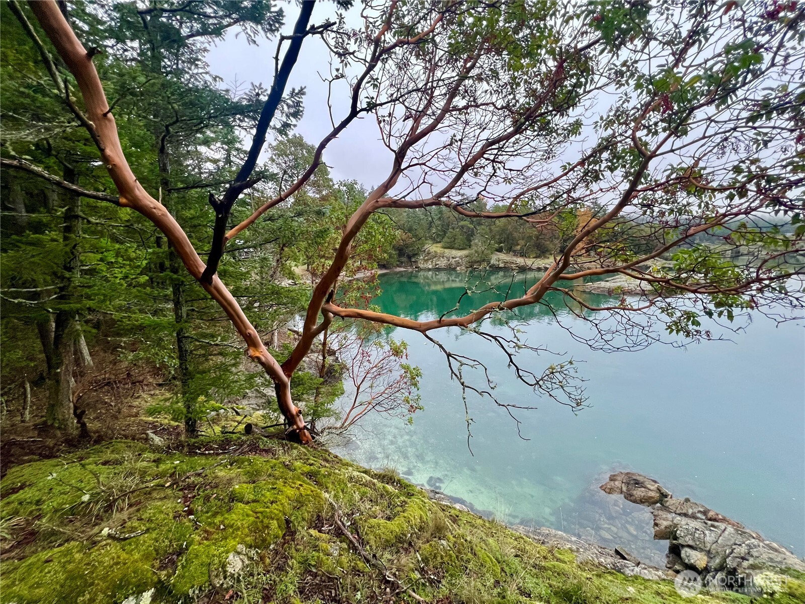 a view of swimming pool with a yard