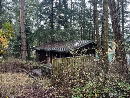 a view of a backyard with plants and large trees