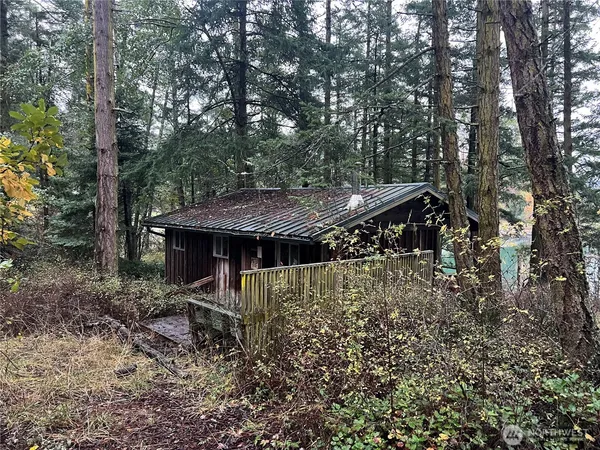 a view of a backyard with plants and large trees