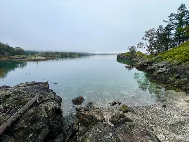 a view of a lake with trees all around